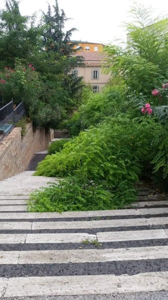 Erbacce-scalinata-nei-pressi-del-Catasto.JPG